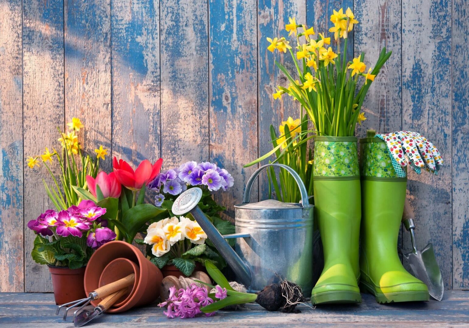 A garden scene with flowers and gardening tools.